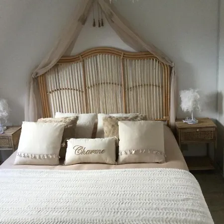 Au P'tit Nid Douillet Apartment *