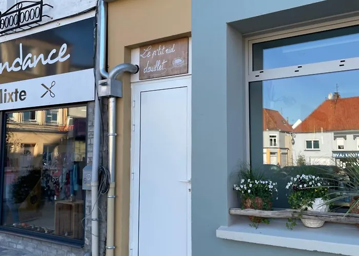 Appartamento Au P'tit Nid Douillet *